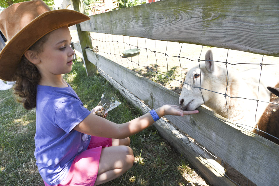 a little girl in a cowboy hat, feeding sheep at the Barnyard Adventure